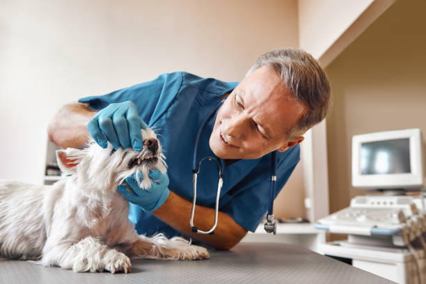 Best Weekend Emergency Dentist in Kettering, MD